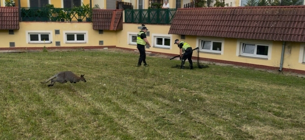 Červenec 2025 Červenec 2025