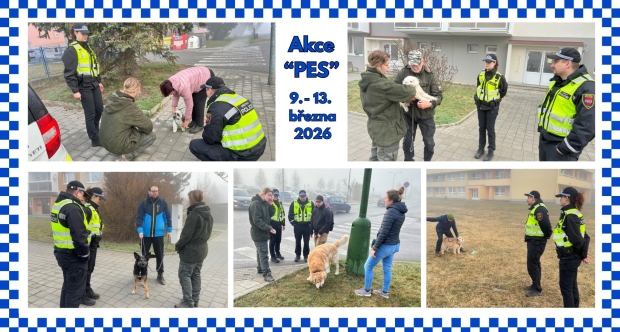 Akce PES v ulicích města